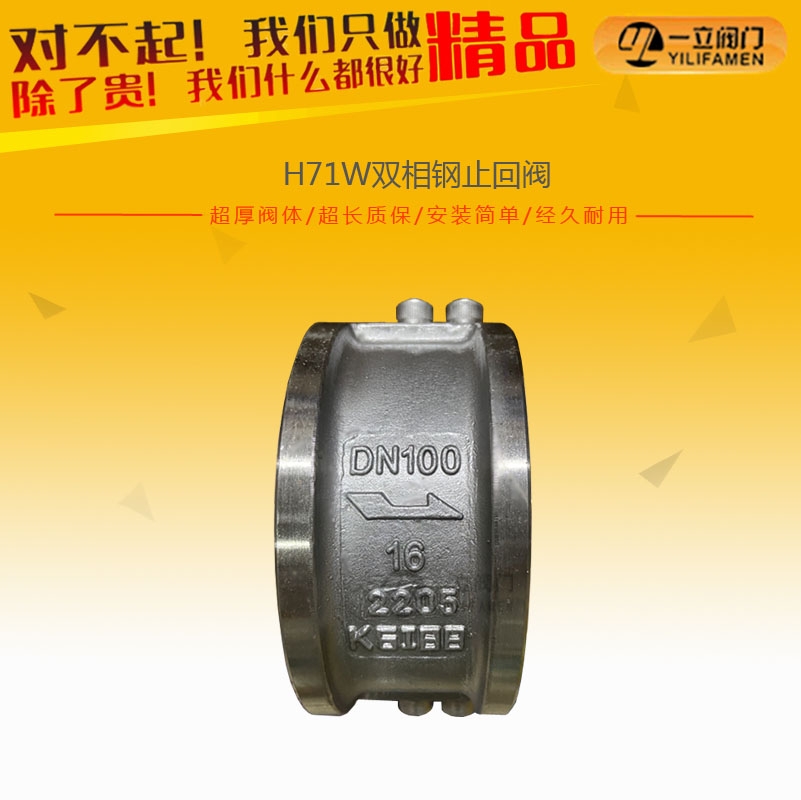 H71W双相钢止回阀.jpg